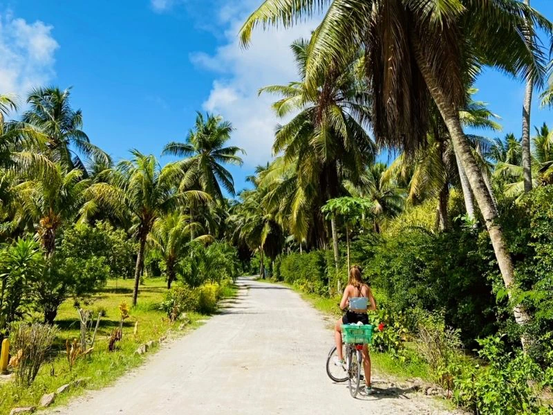 Seychellen - La Digue palmbomen - fietsen