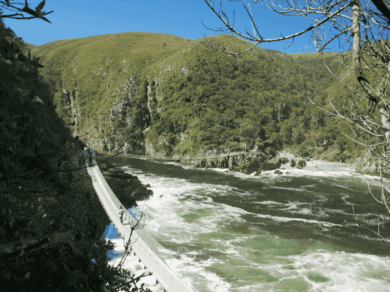 Tsitsikamma National Park