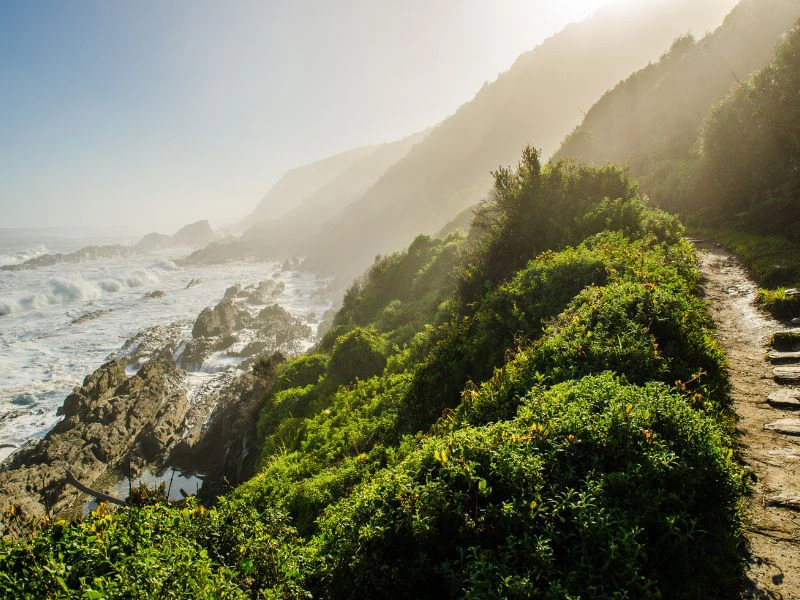 tsitsikamma national park