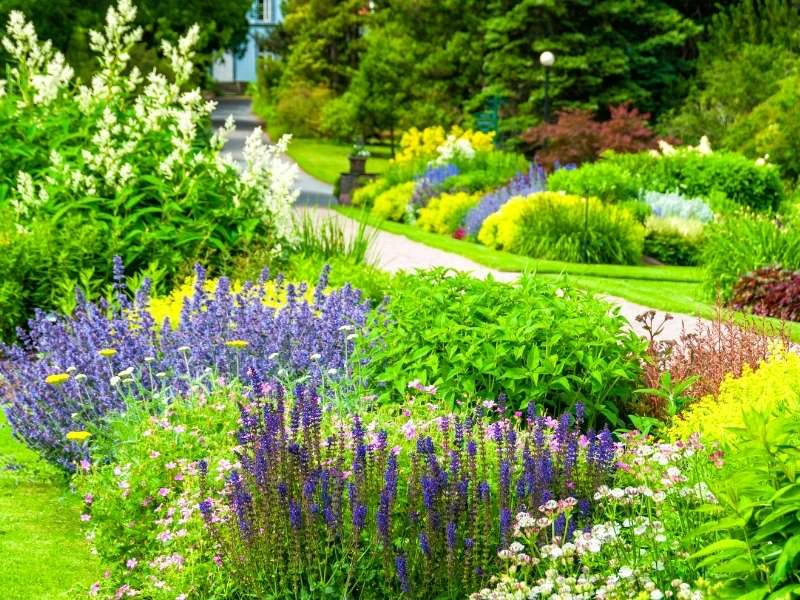 botanische tuin van Pretoria Zuid-Afrika