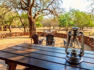 Terras voor lodge met uitzicht over park