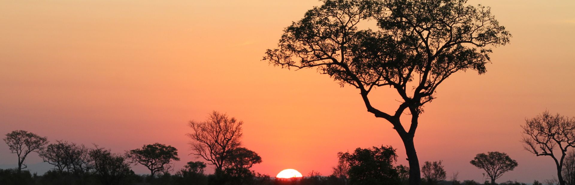 Zonsondergang in Zuid-Afrika met schaduwen van bomen