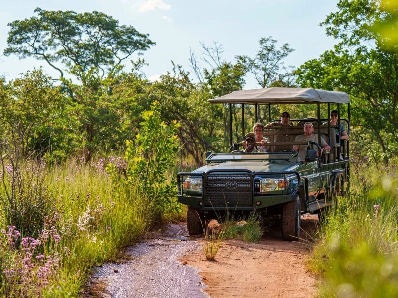 South Africa - Welgevonden - safari