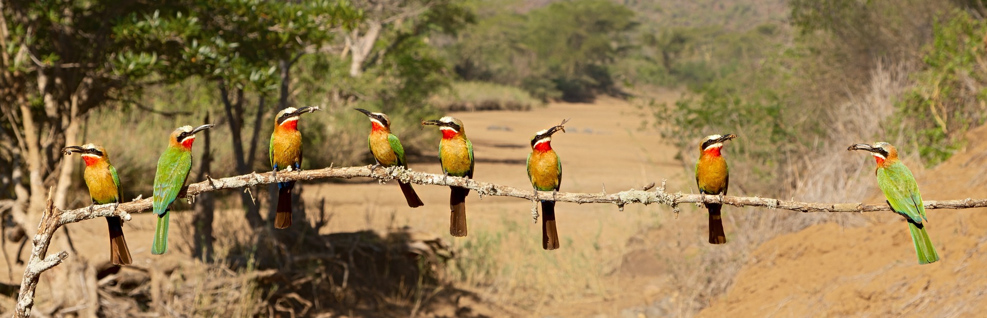 South Africa - Mkhuze - hero