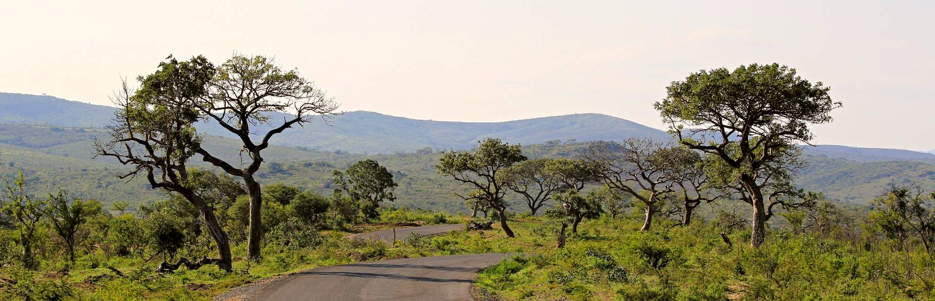 South Africa - Hluhluwe - landscape