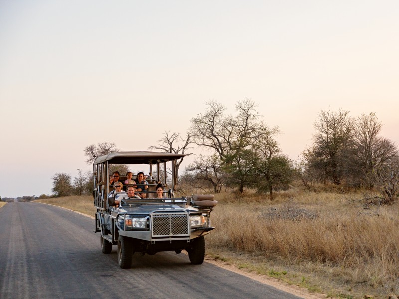 South Africa - Jeep - Safari