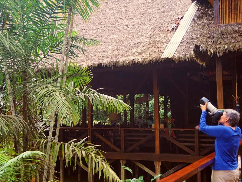 Jungle Peru Puerto Maldonado buiten