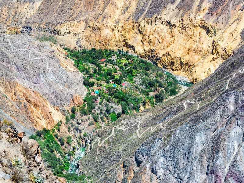 Colca Canyon Oasis