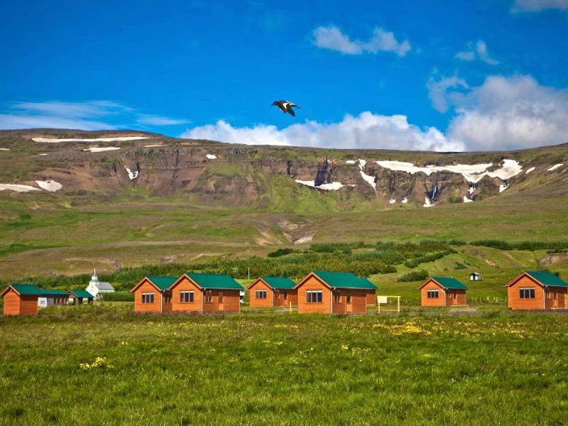 Huisje midden in het grasveld Hvammstangi