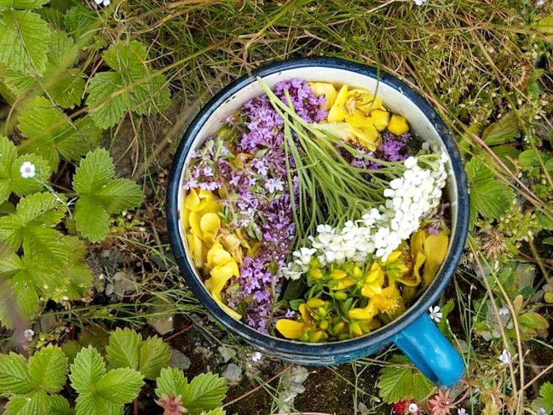 Bushcraft excursie