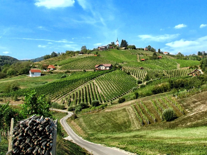 wijnstreek Slovenië
