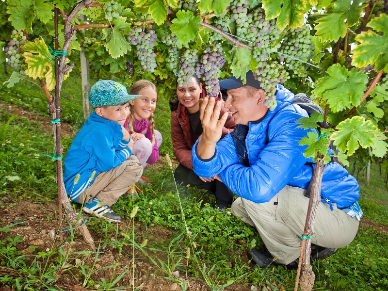 Sealife Buket Beach & Resort