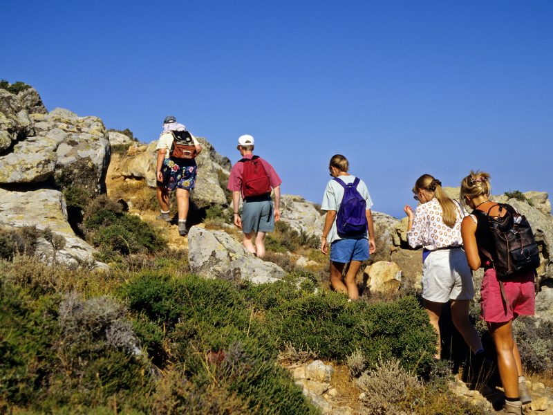 tinos