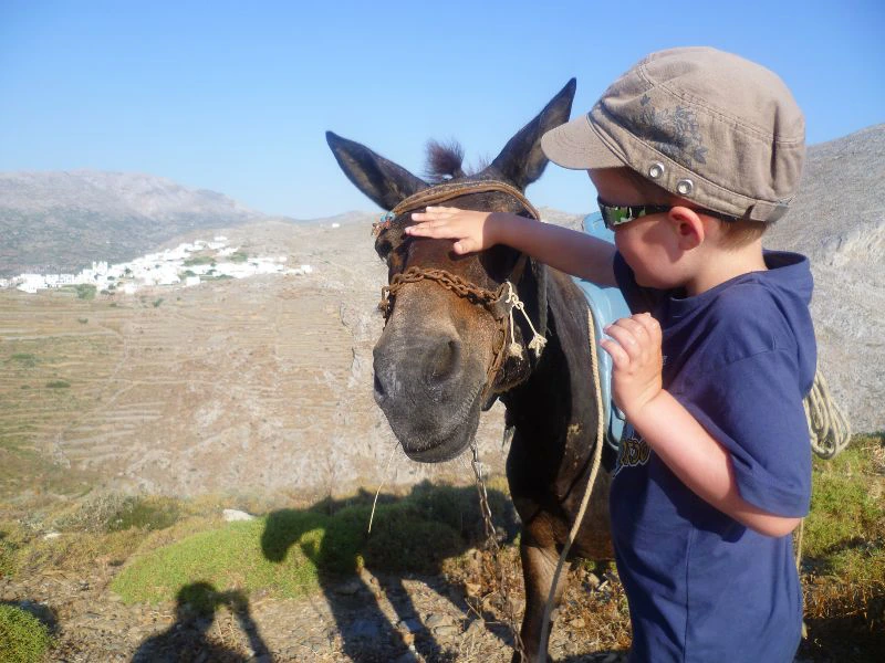 Amorgos kind met ezel