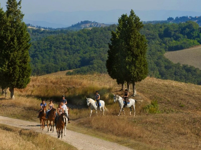 Paardrijden Val d'Orcia