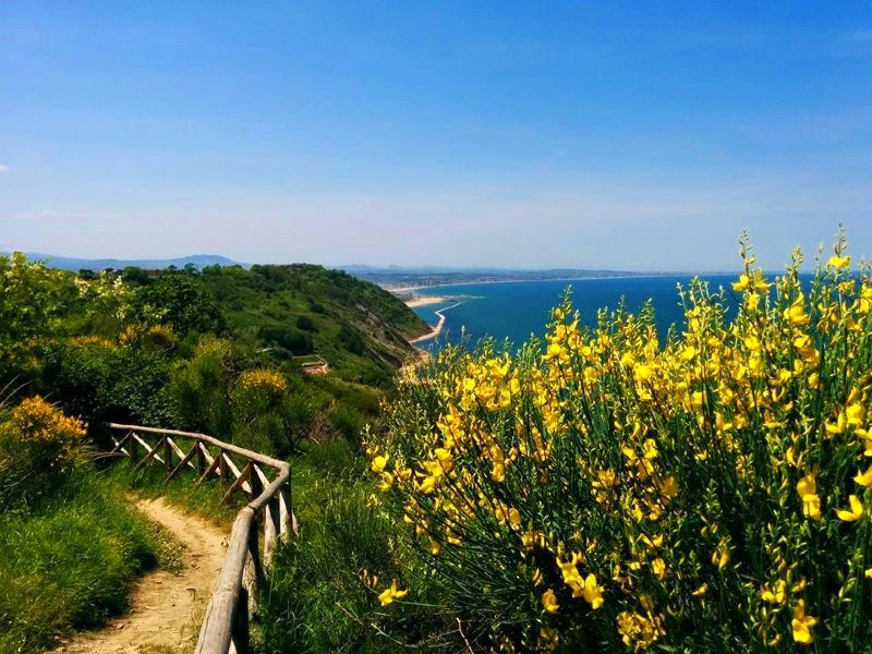 adriatische kust