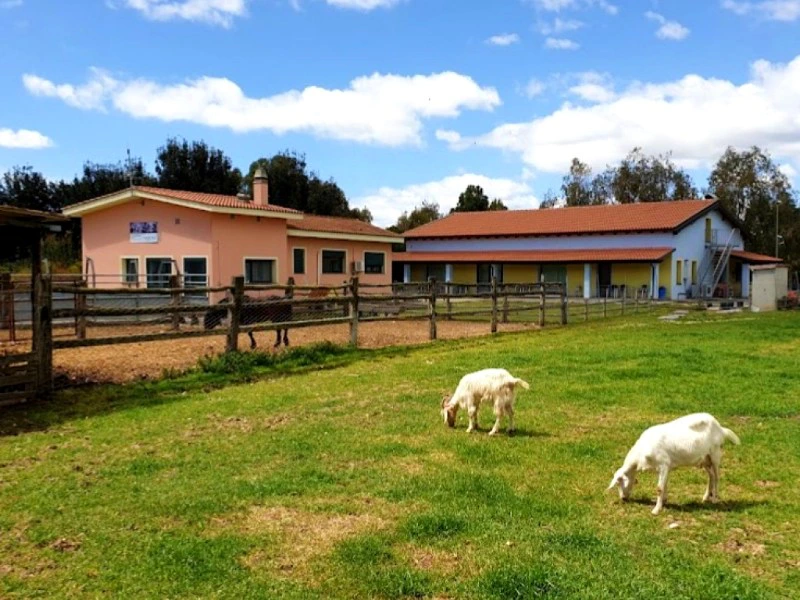 Agriturismo farm stay