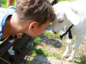 Slapen op een boerderij in Sardinie