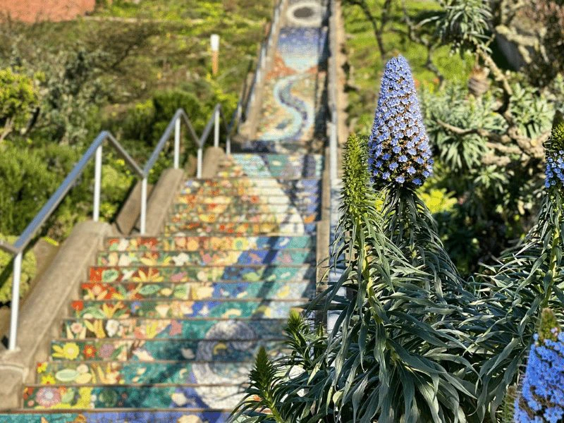 bezienswaardigheden in San Francisco