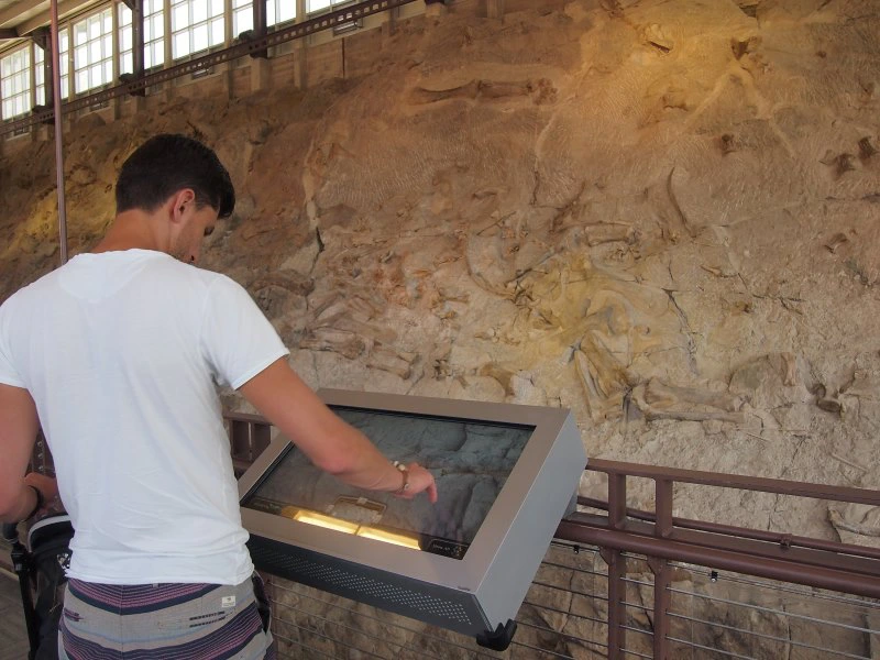 Vernal Dinosaur National Monument Utah