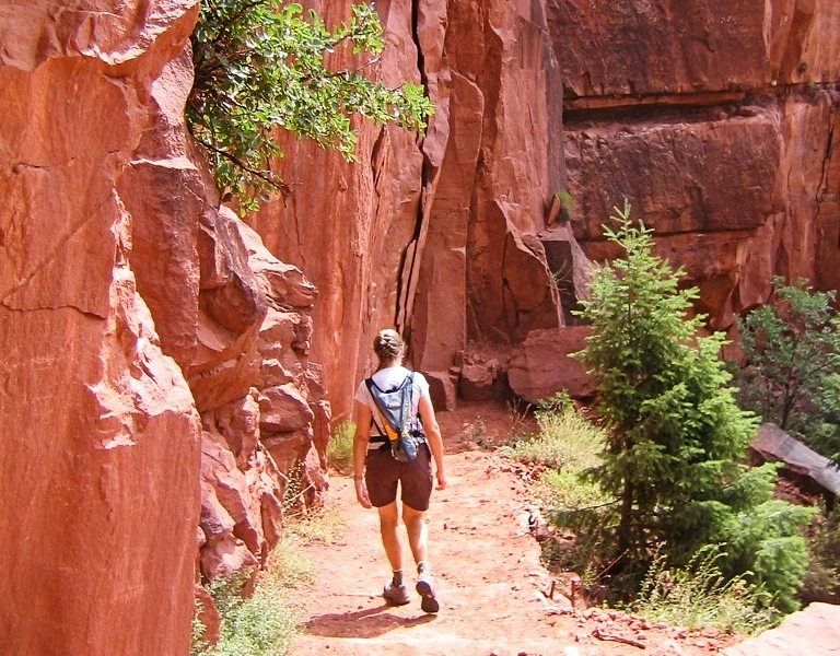 Grand Canyon North Rim