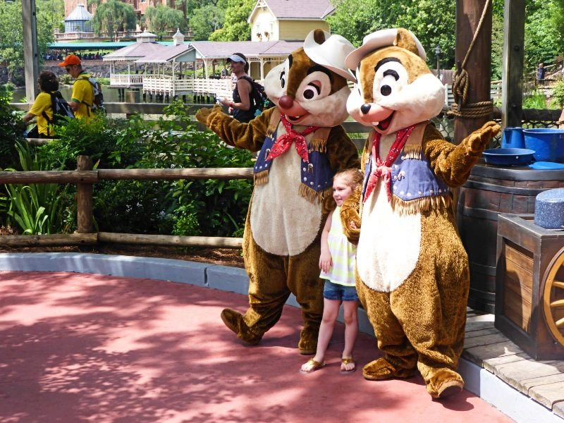 Florida Disneyworld Amerika met kinderen reizen