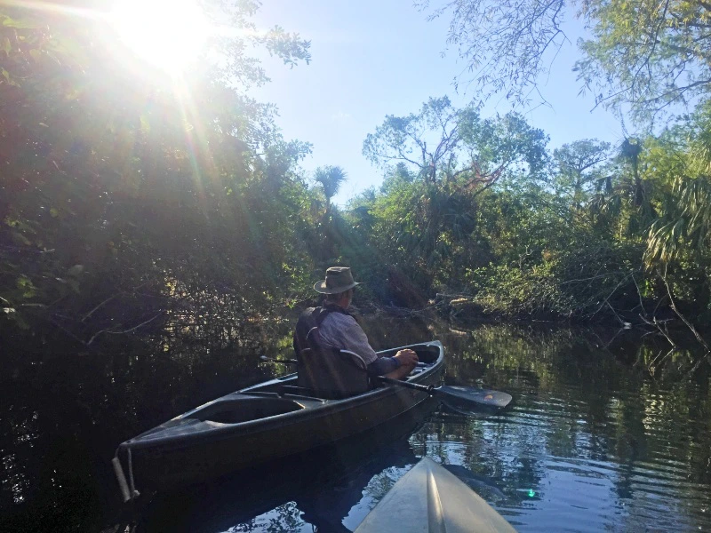 Kajakken door de Everglades bij een rondreis Florida, amerika