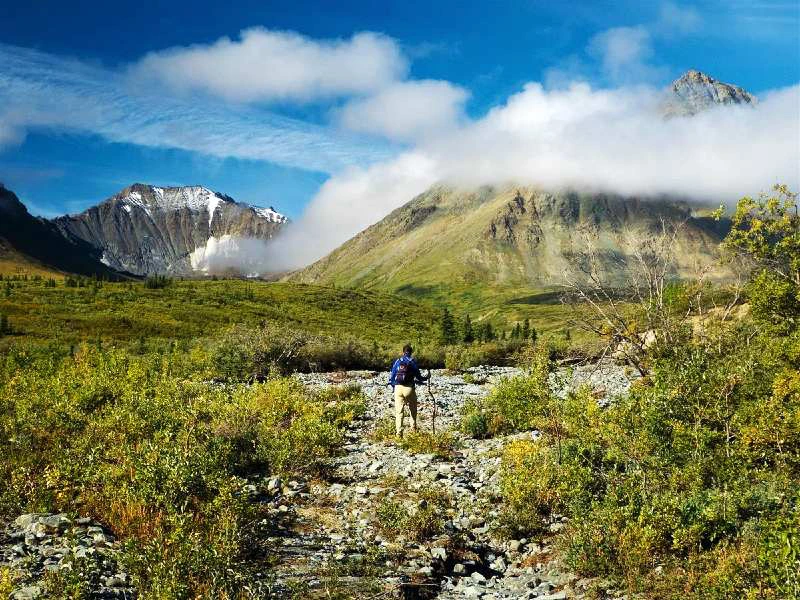 Wandelen bij het Kluane nationale park