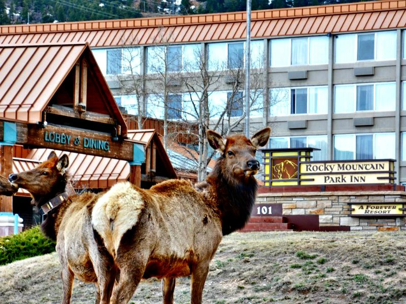 Hotel in de Rocky Mountains