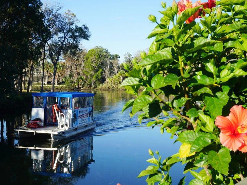 Crystal River Florida zeekoeien