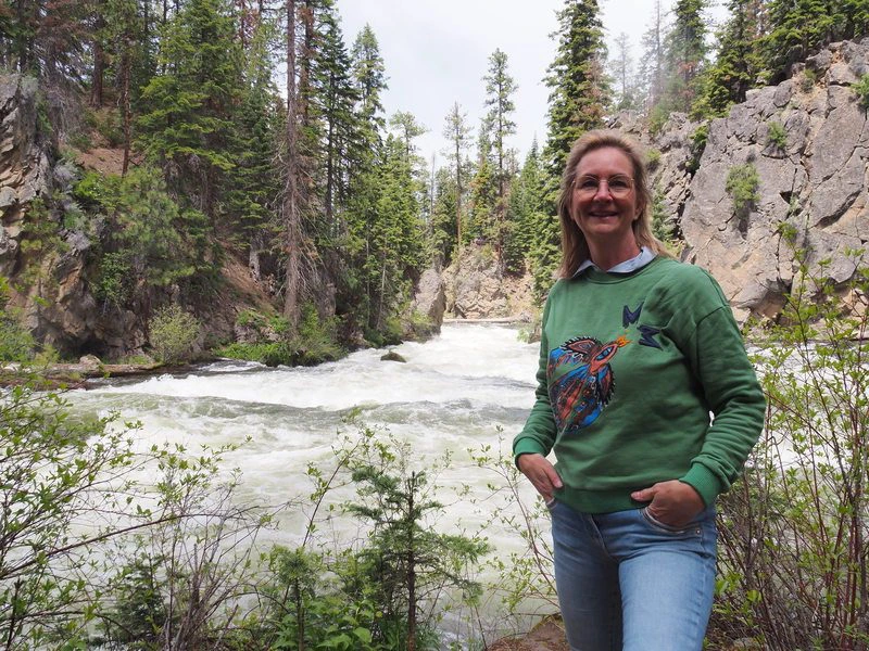 Waterval in de regio van Bend