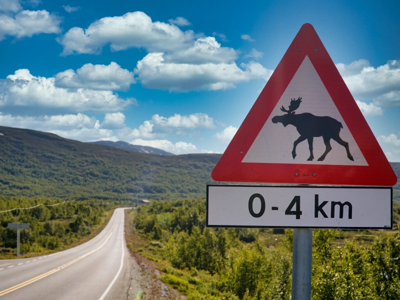 Pas op verkeersbord in Noorwegen