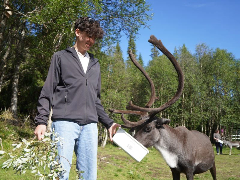 Jongen voert eland tijdens een elandsafari.
