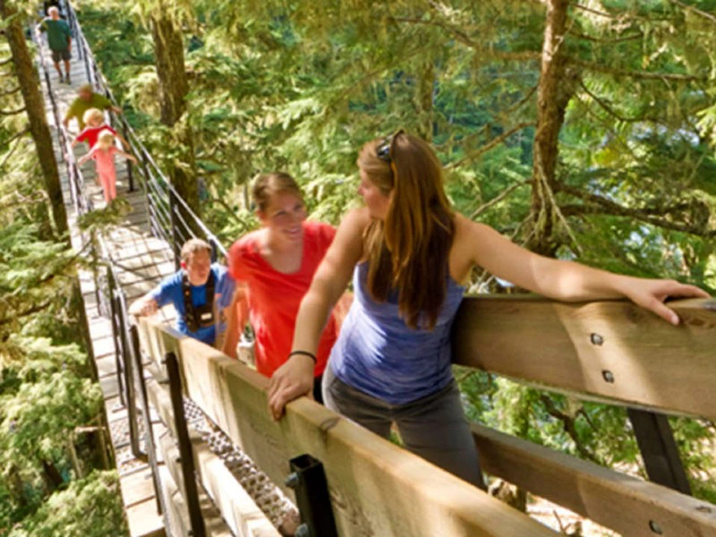 Treetrek tour Whistler