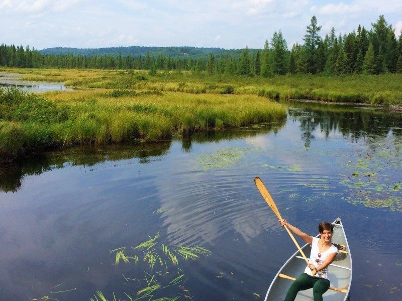 Kanoën in het Nationale park Algonquin