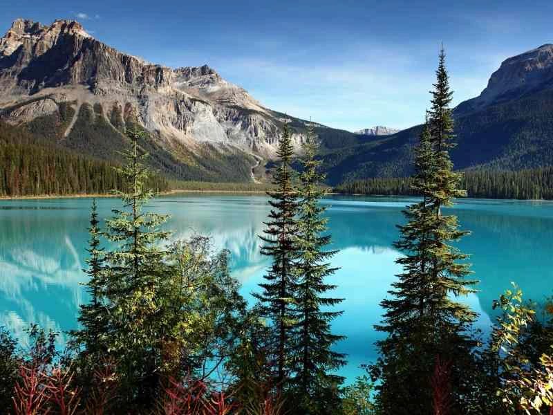 Turquoise bergmeer omringd door sparren, met op de achtergrond imposante rotsbergen en een strakblauwe lucht.