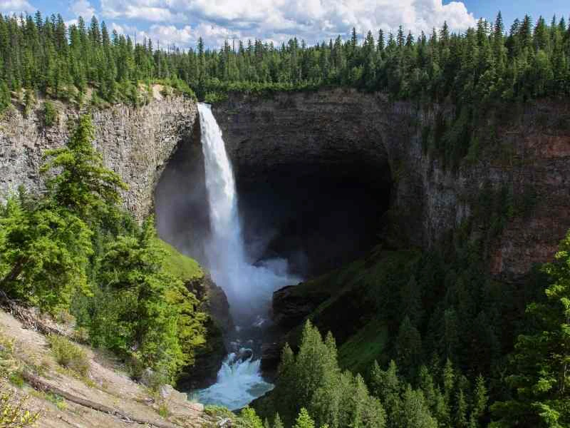 Krachtige waterval die in een diepe kloof naar beneden stort, omringd door dichte groene naaldbossen.