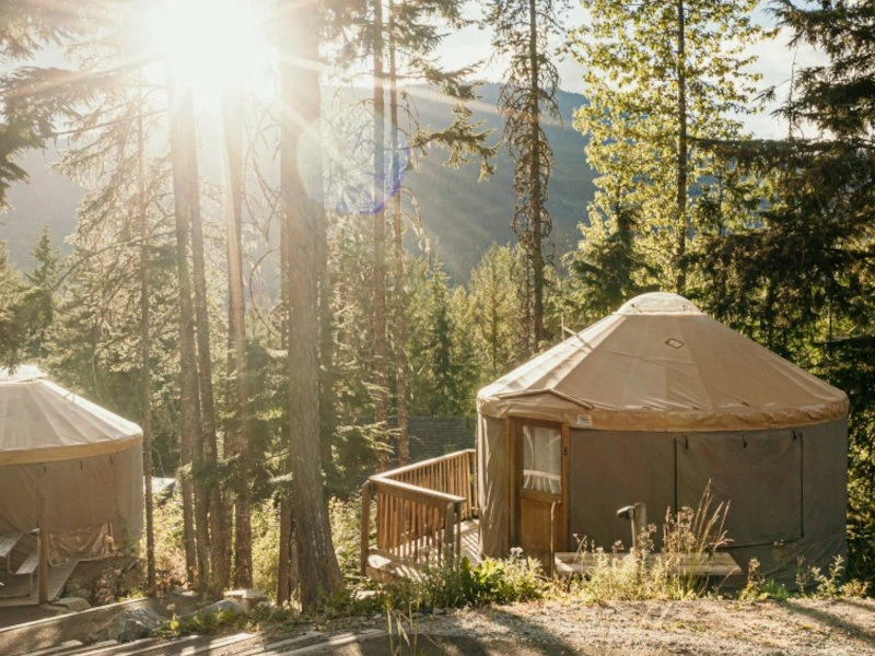 Twee ronde yurts tussen de bomen in de Canadese natuur, met zonlicht dat door de dennen schijnt.