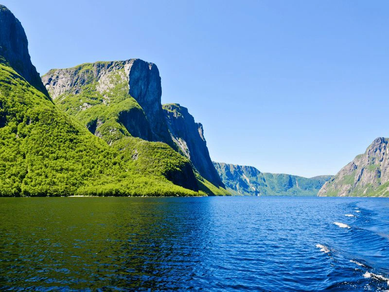 Diepblauwe fjord met steile, groene rotswanden onder een heldere blauwe lucht.