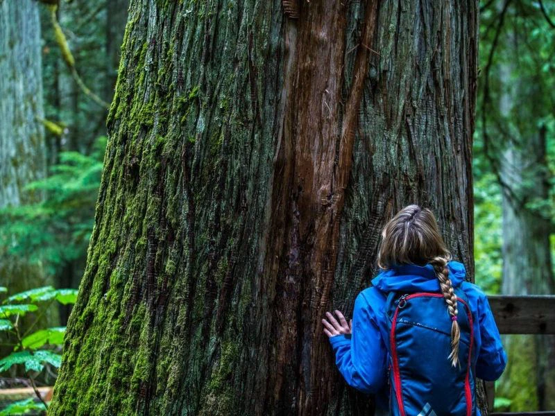 Meisje naast een grote boom