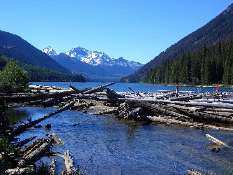 meer met hout en bergen op de achtergrond