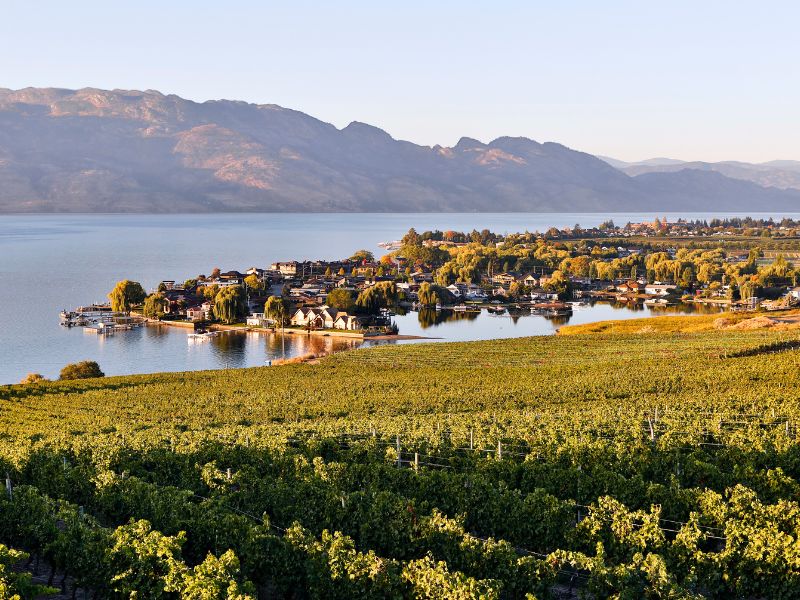 wijngaarden van kelowna