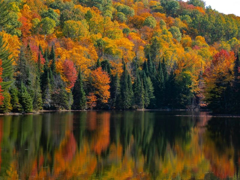 Autumn colours reflect on a lake.