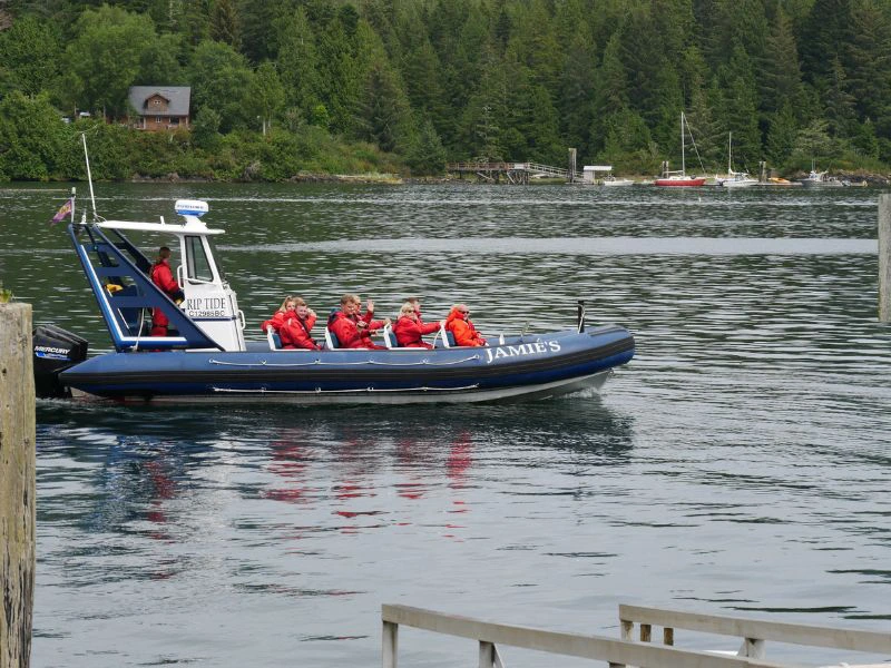 Reizigers gaan whalewatchen in een zodiac.