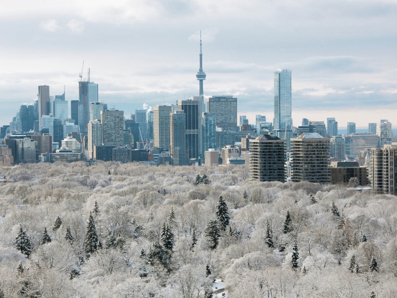 Toronto Skyline in de winter