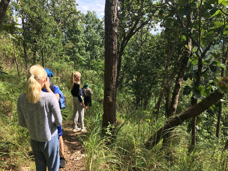 Thailand-chiang-mai jungle