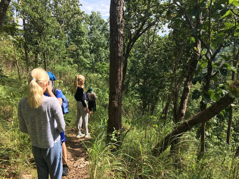 Thailand-chiang-mai jungle