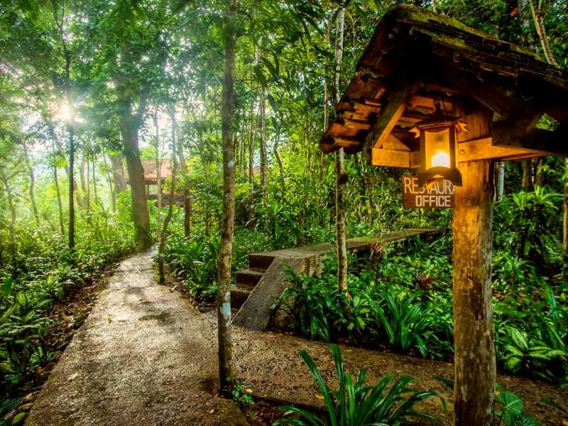 riksja-thailand-khao-sok-bungalow-budget