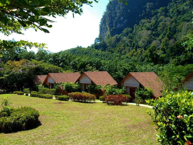 riksja-thailand-khao-sok-expeditie-jungle