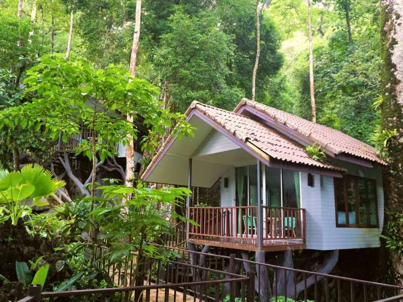 riksja-thailand-khao-sok-expeditie-jungle